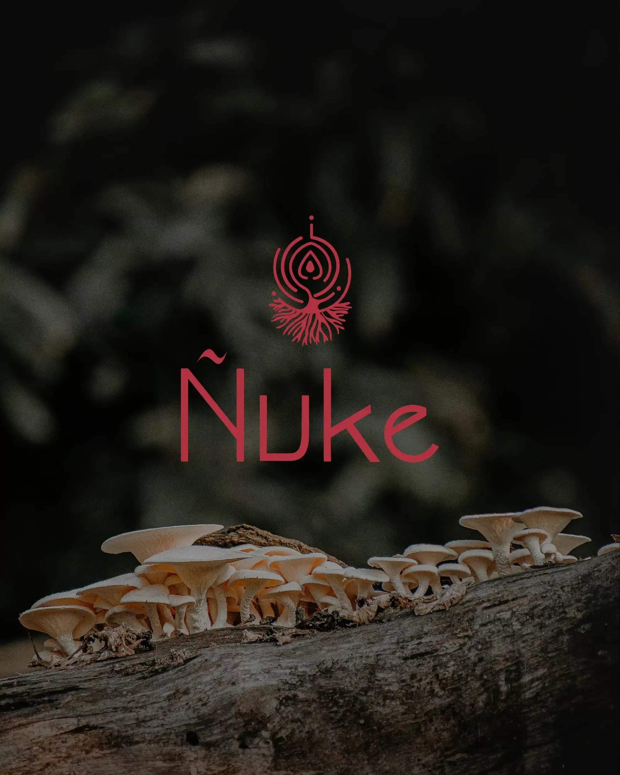 logo_formule_nuke_liwenbysolena